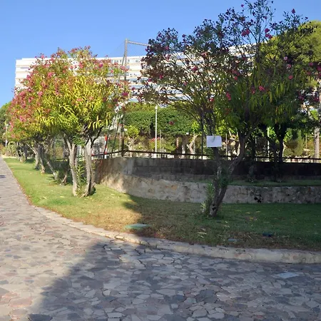 Apartamento La Terraza De Club Del Mar Alicante